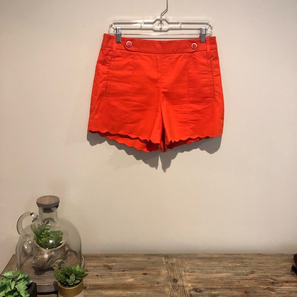 Anthropologie Pants - • Anthropologie Shorts •